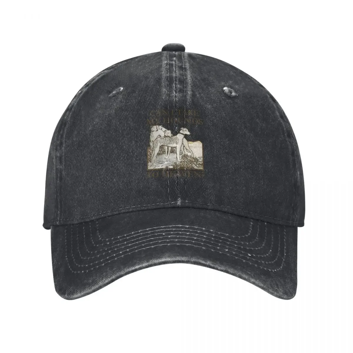 Can I Take My Hounds to Heaven? Tour/Album Poster Baseball Cap Military Cap Man Fashion Beach Ladies Men's