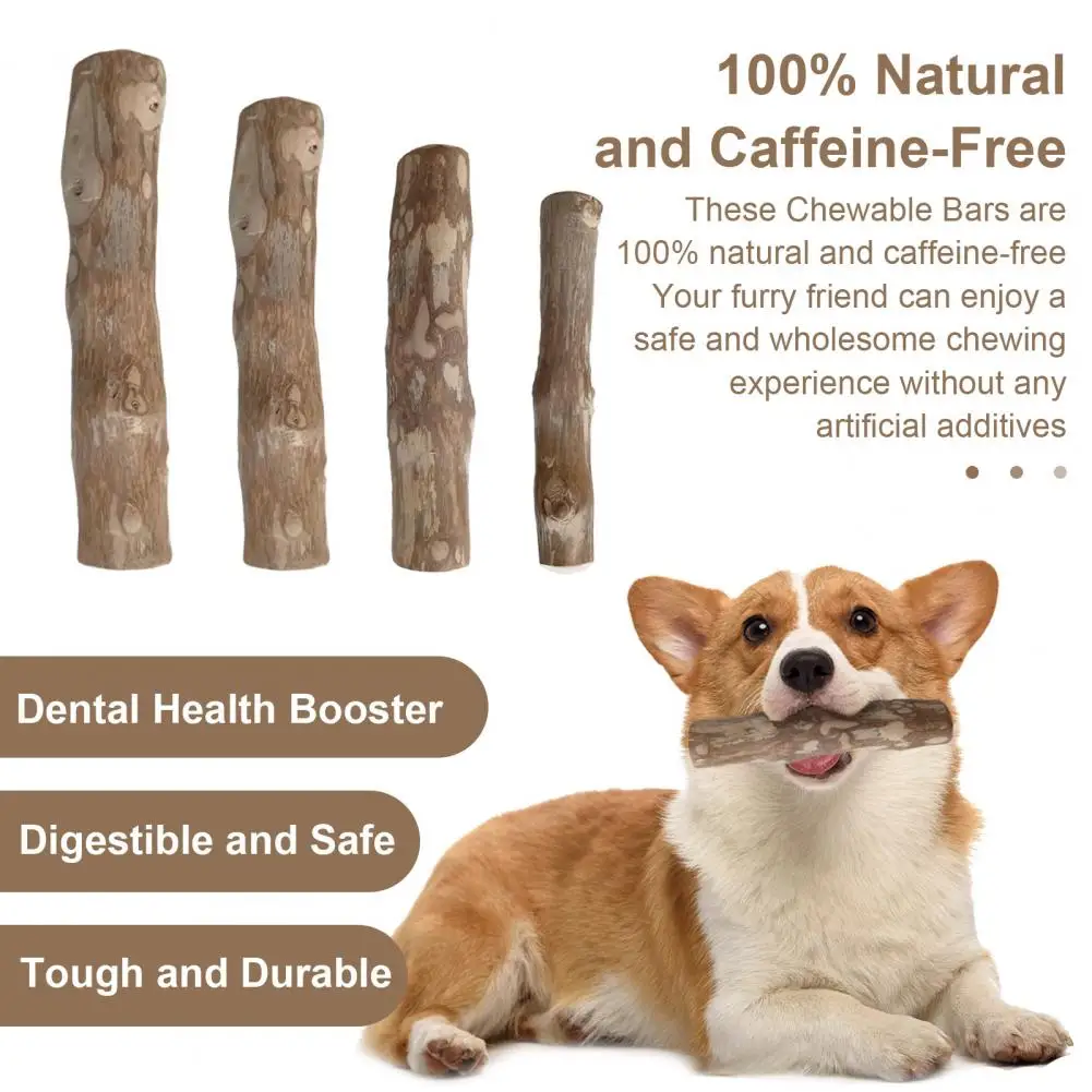 Wood Dog Chew Stick Natural Wooden Bones Dog Teeth Cleaning Toy Dental Health Care Stick Pet Chews for Dogs