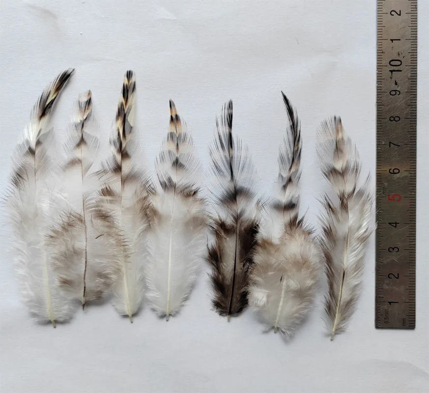 200 pièces 7-10 cm en vrac naturel gris Grizzly coq selles plumes pour l'art, chapellerie, artisanat, coq, Grizzly, garniture