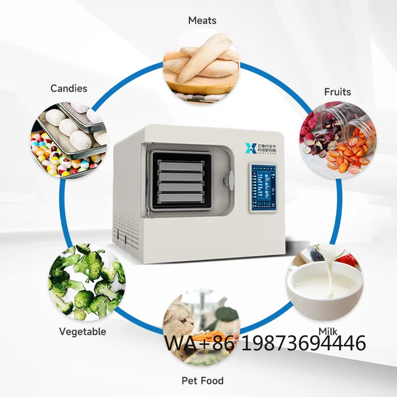 Mini Laboratory Freeze Dryer High Quality Fruit Food Vacuum Dehydration Drying
