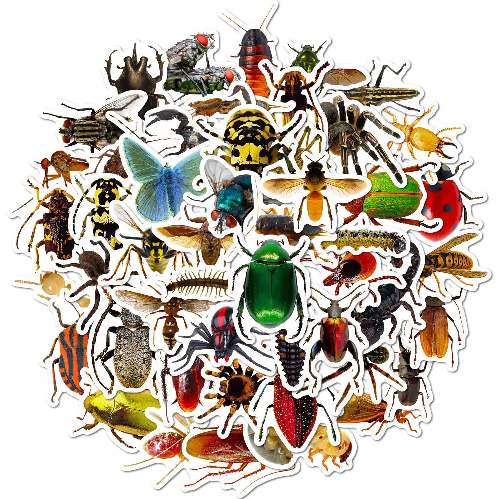 50pcs Realistic Insect Spider Lizard Realistic Insect Notepad Skateboard Luggage Waterproof Sticker