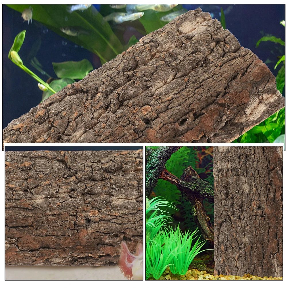 Tablero de fondo de corteza, decoración de árbol Natural de 10x20cm, terrario, tanque de reptiles, acuario de peces, escena de pared de estudio, accesorios de corcho