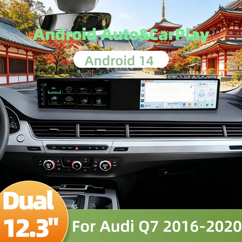 Dual 12.3