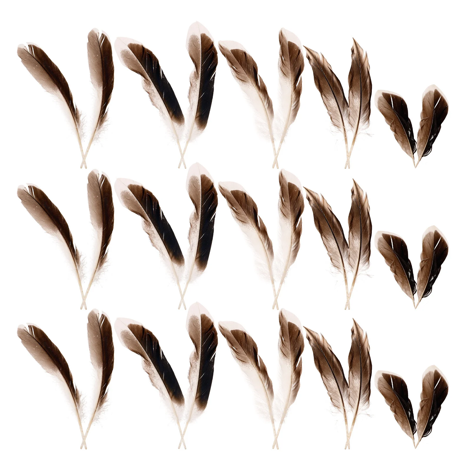 

100Pcs Natural Duck Accessories Bulk Plumes Bright Colors for DIY Crafts Dream Catcher Wedding Party Home Decoration