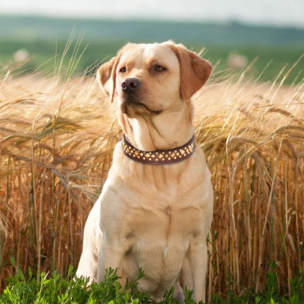 Fajny kolczasty skórzane obroże dla psów regulowany kołnierz dużego psa buldoga pitbulldoga dla małego labradora o średniej duże psy