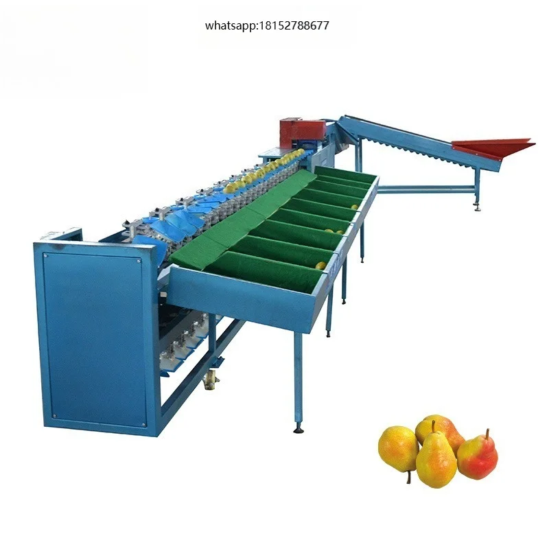 Vegetables Grader Fruit Sorting Machine