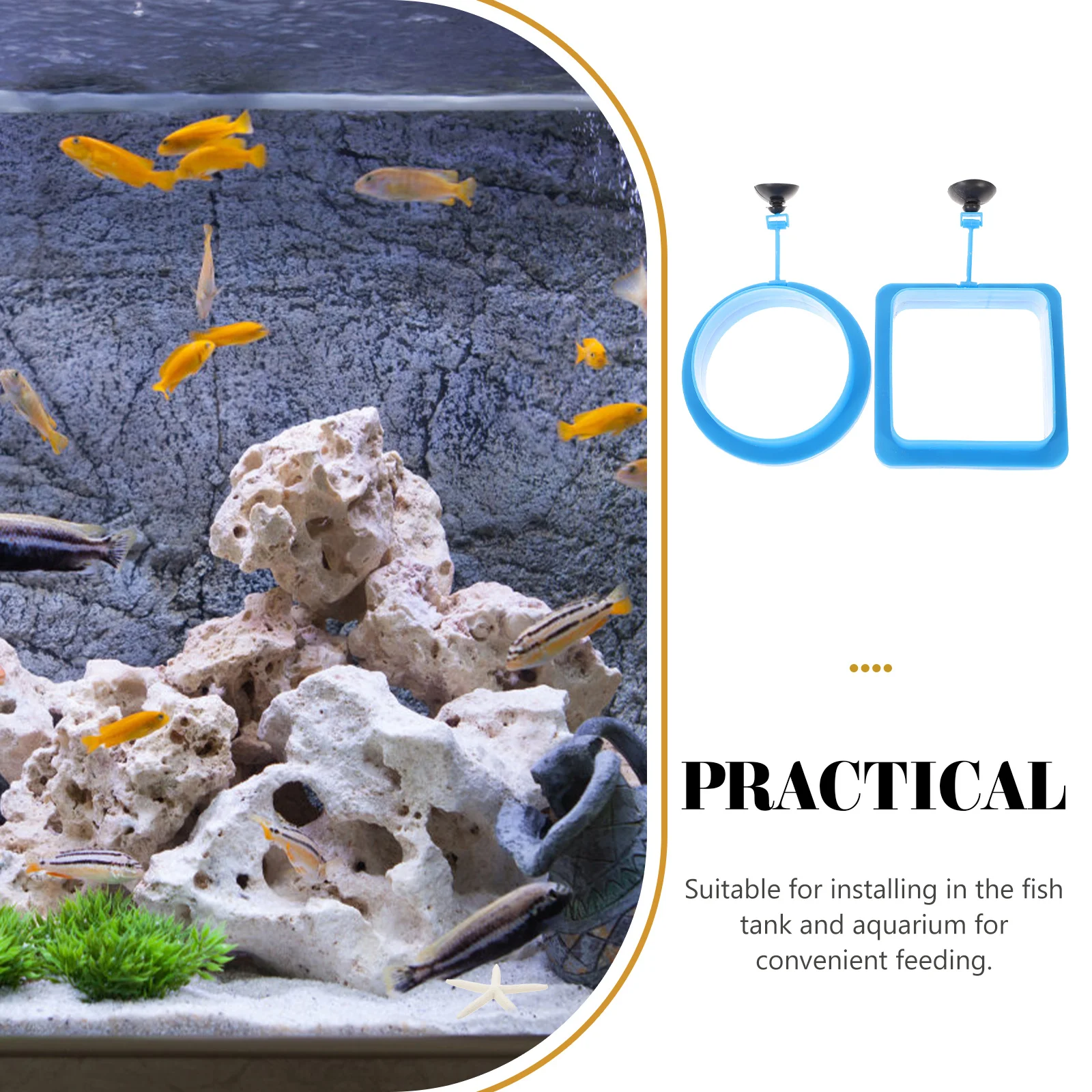 

2Pcs Fish Feeding Rings Durable Floating Aquarium Feeders Suction Cup Convenient Accessory Feeding Ring Fish Feeder Ring