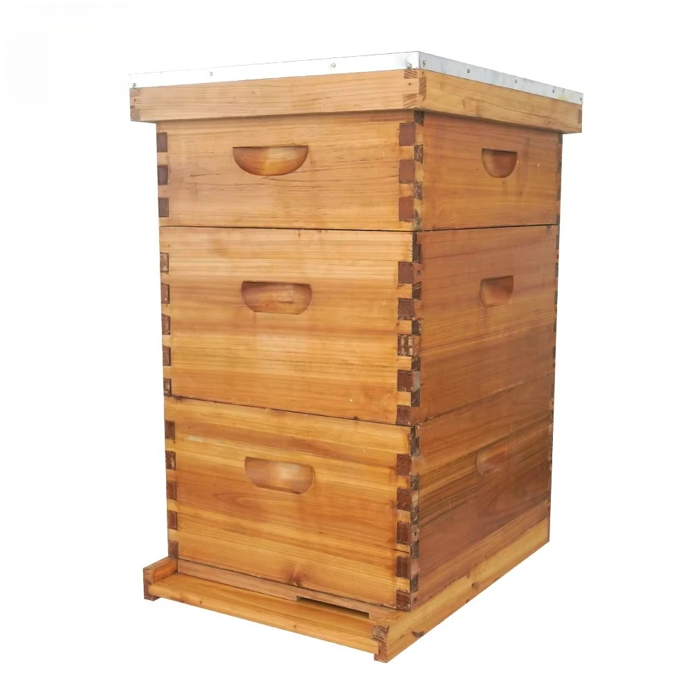 

Hot Sale Wax Coated Wooden Bee Hive Boxes Complete Langstroth Beehive 10 Frames