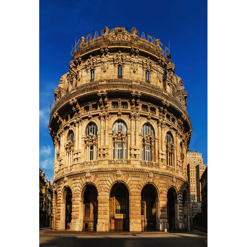 Nitree Castle Palace Indoor Photography Background Newborn Child Birthday Photo Background Photo Gallery Props  CB-01