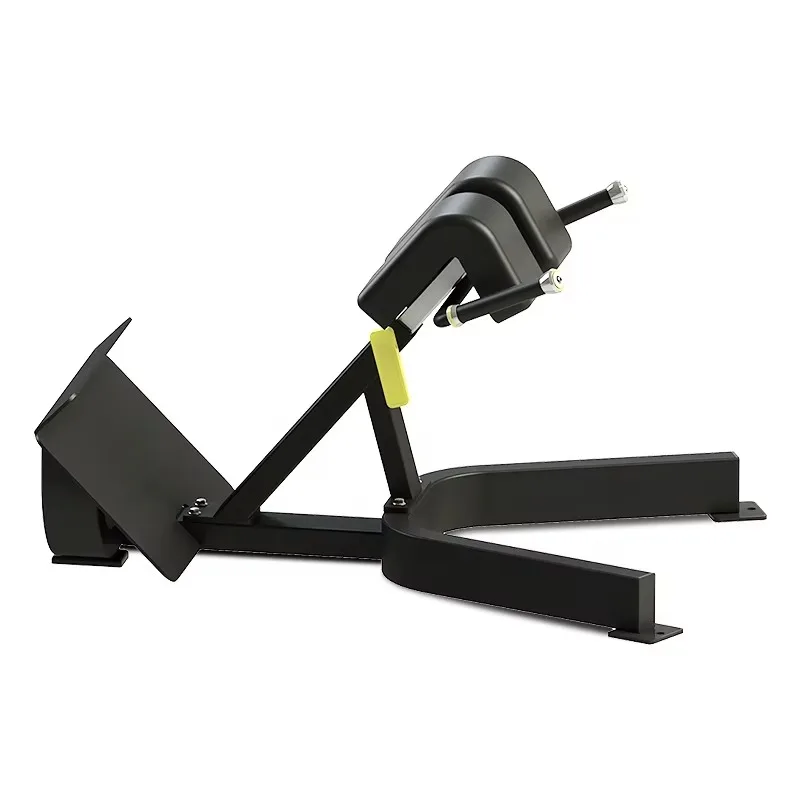 New Arrival High Quality Machine Gym Fitness Equipment Back Extension