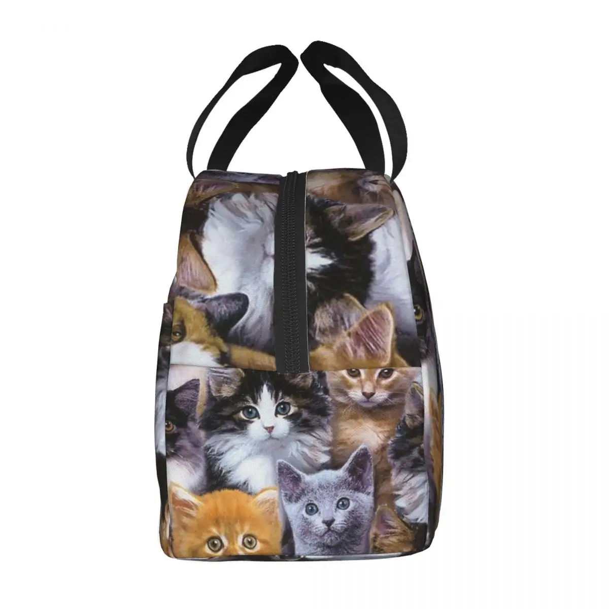 Fiambrera térmica con estampado de gatos para niños, bolsa de almuerzo portátil con estampado de lindos gatos, nevera para Picnic, bolsa de