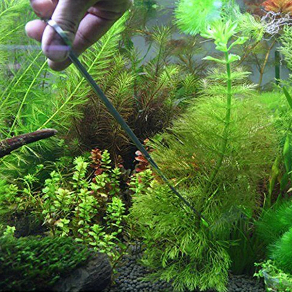 

Curved Straight Tweezers Scissors Stainless Steel Aquatic Plant Tools Fish Tank Long Reach Aquarium Gardening Kit