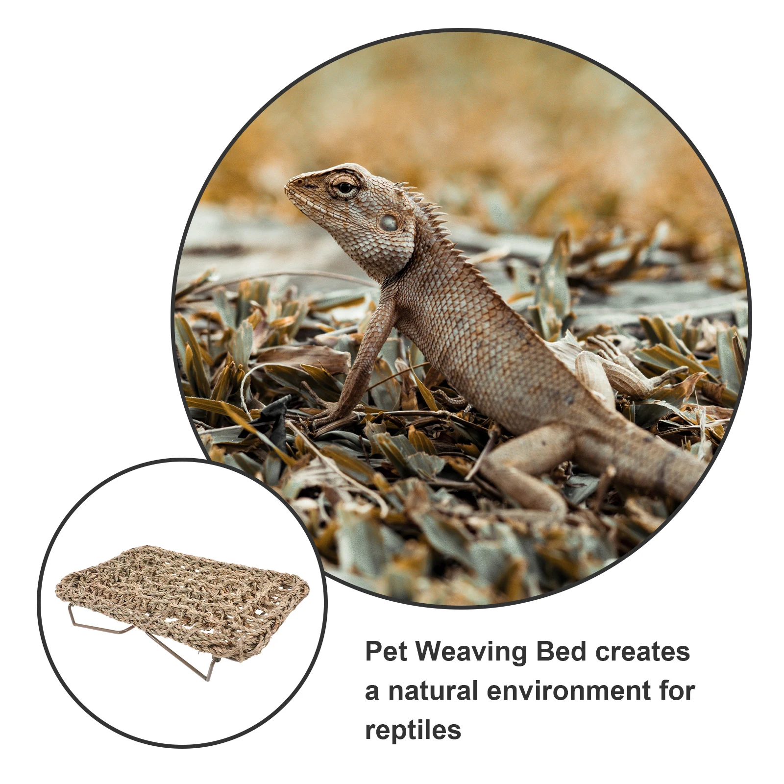 

Reptile Lounger Bed Iron Frame Woven Straw for Bearded Dragon Lizard Sleeping Rest Pet Supplies Pet Plaything