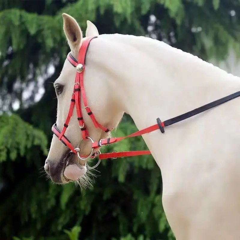 Horse Head Collar Halter Horse Riding Bridle High-quality PVC Horse Racing Hight Quality Equestrian Equipment