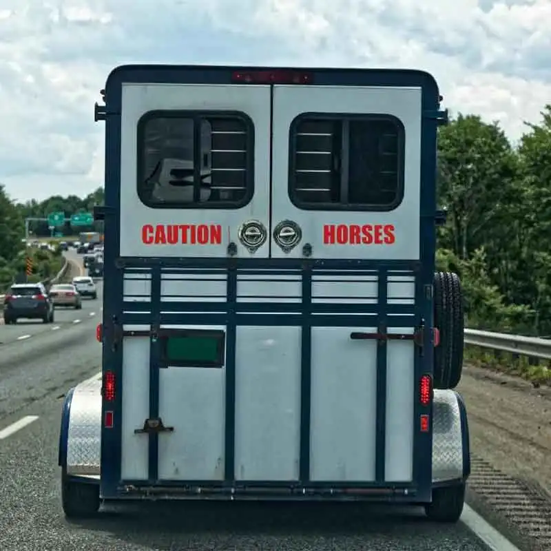 Caution Horses Trailer Decal, Livestock Safety Vinyl Sticker, Removable, Waterproof, Customized Wallpaper Q190