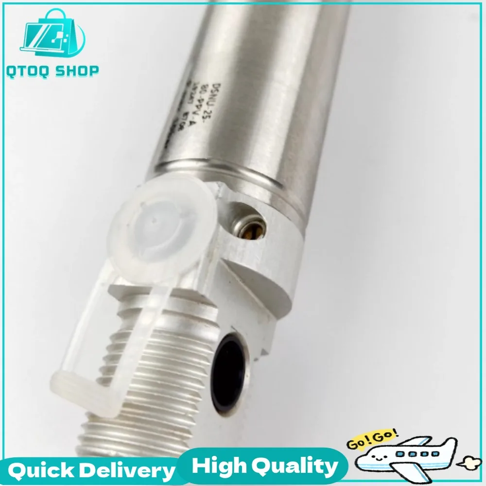 DSNU-12-16-15-20-25-30-40-50-60-80-100-PPV-P-A-MQ Cylinder