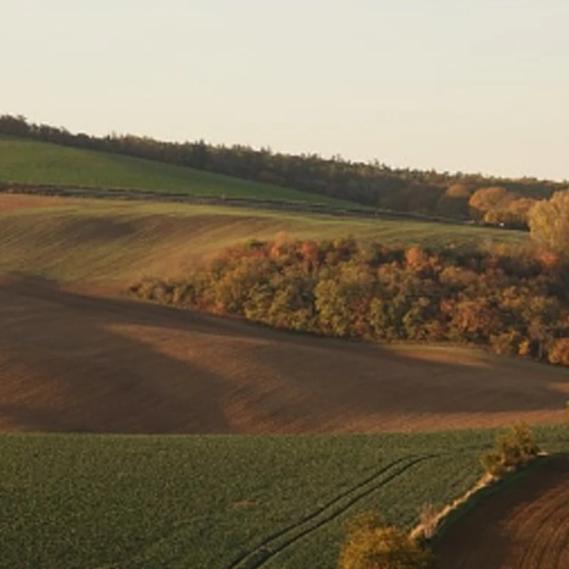 Jx Servo PDI-1109HB…