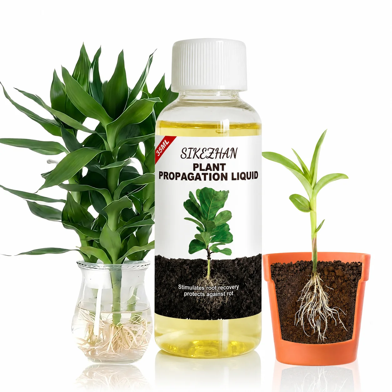 Hormona Líquida de Enraizamiento Rápido, Solución de Alta Eficiencia para la Propagación de Plantas, para un Crecimiento de Raíces Más Rápido y Recuperación de Plantas de Interior en Apuros