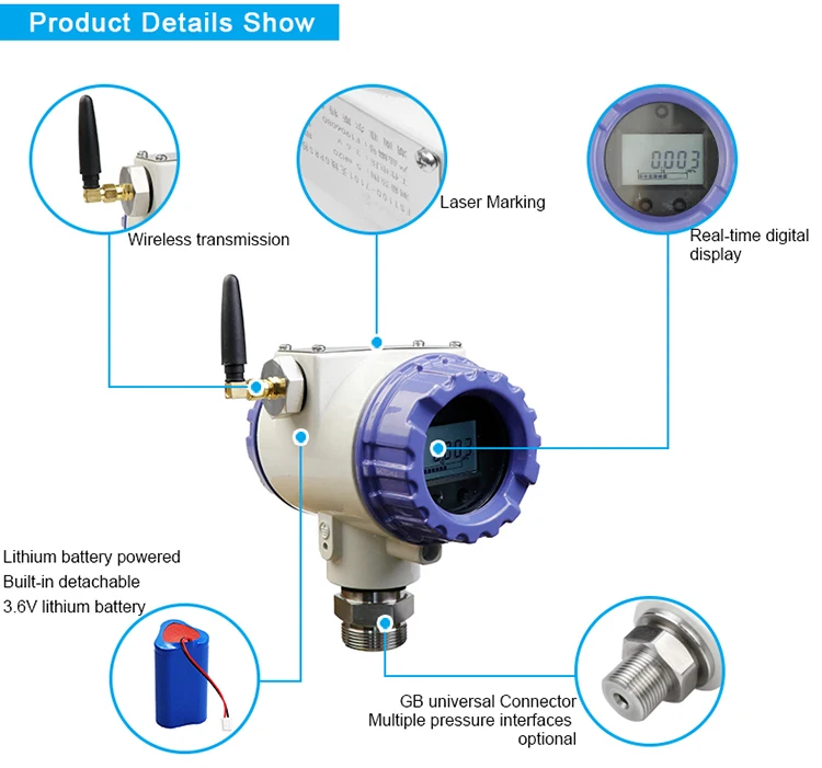 FST100-1101 IOT 24v Cng 300 Bar Manifold Cylinder Lpg Gas Digital Pressure Gauge Sensor Gauge Pressure, Absolute Pressure