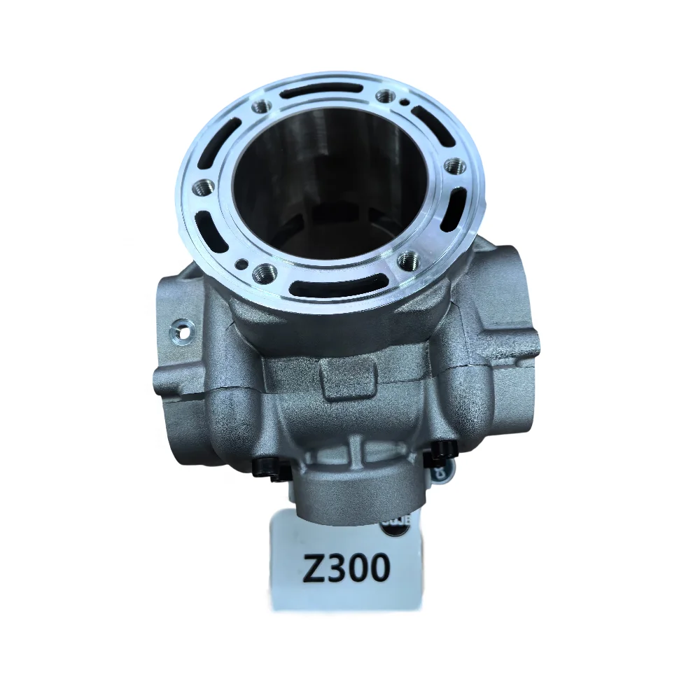 CQJB Factory Motorcycle Engine Parts Z300 Cylinder Block instock