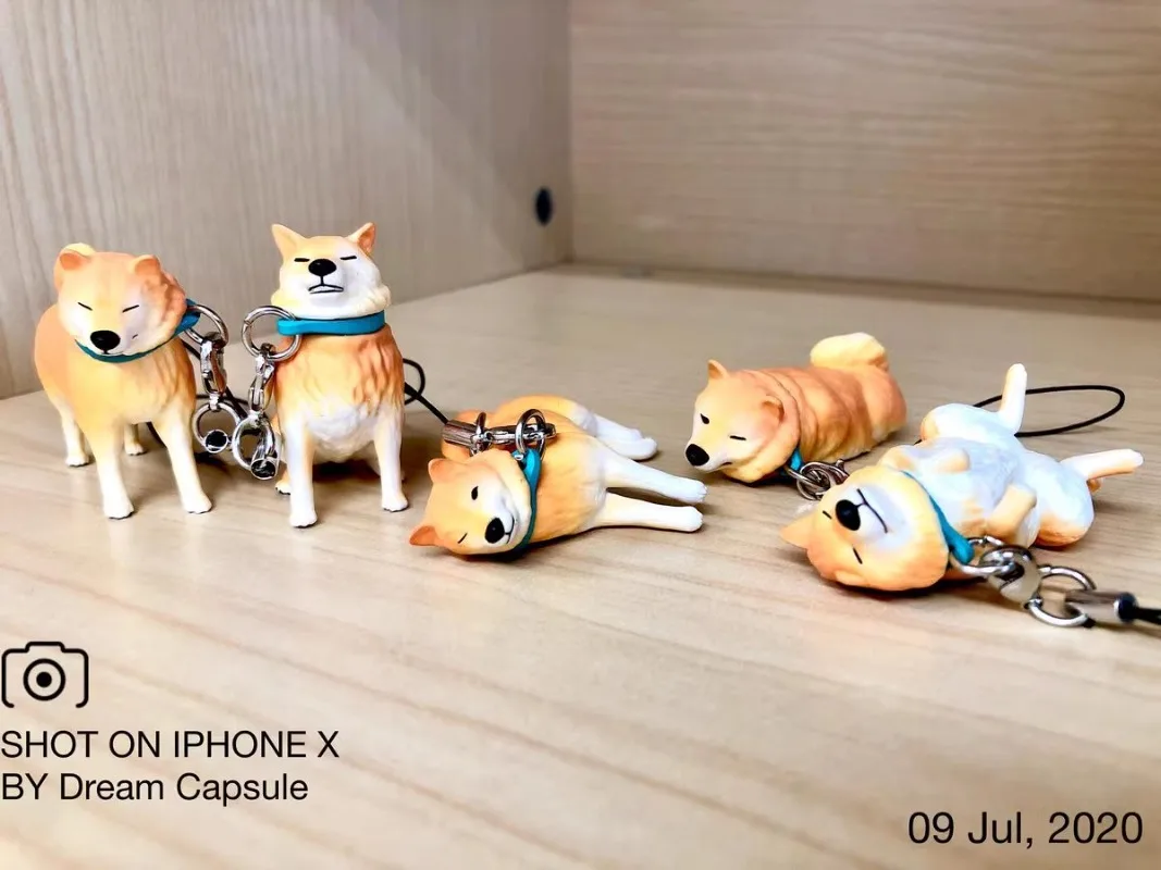 Original QUALIA Kawaii Gashapon Figure Capsule Toy Keychain Anime Rejection Dog Shiba Inu Miniatures For Kids Gift