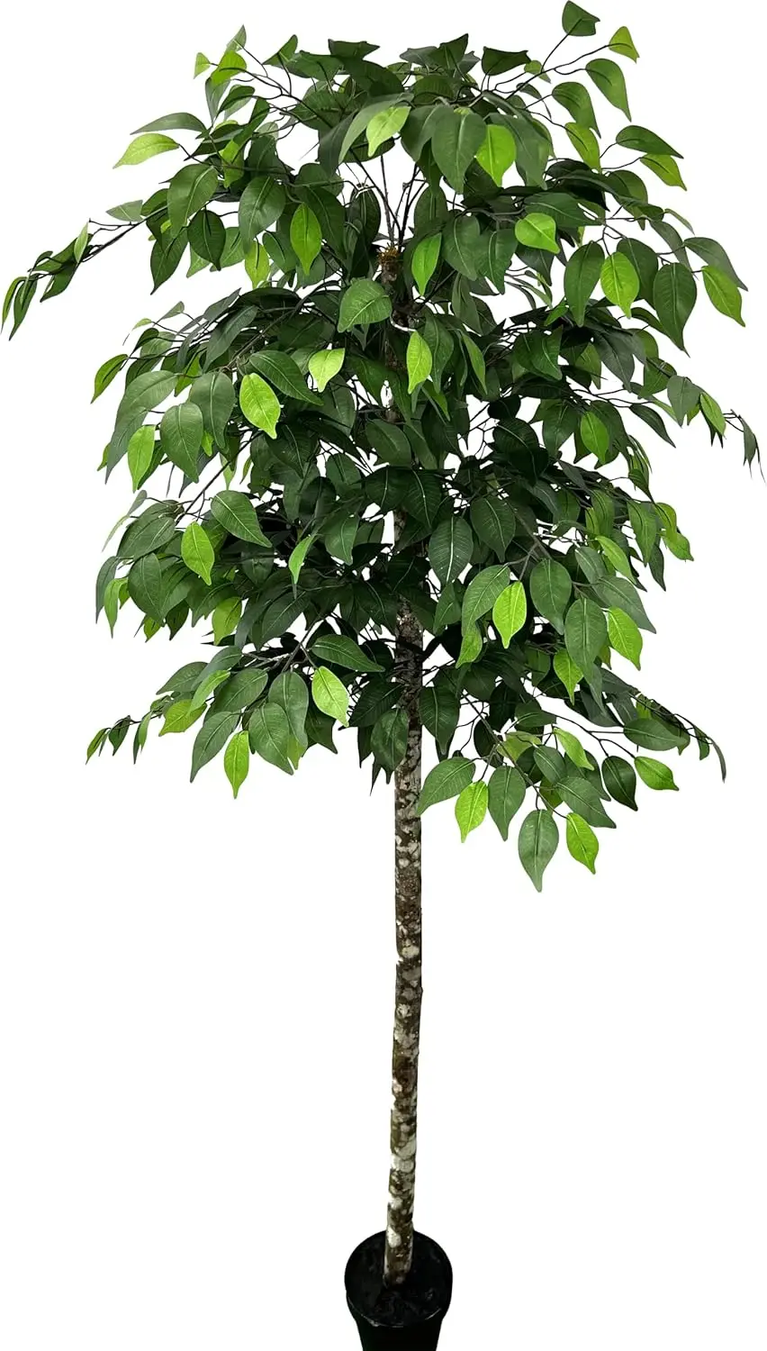 6.5' Artificial Ficus Tree, Artificial Plant, Hand-Made with Real Wood Trunks