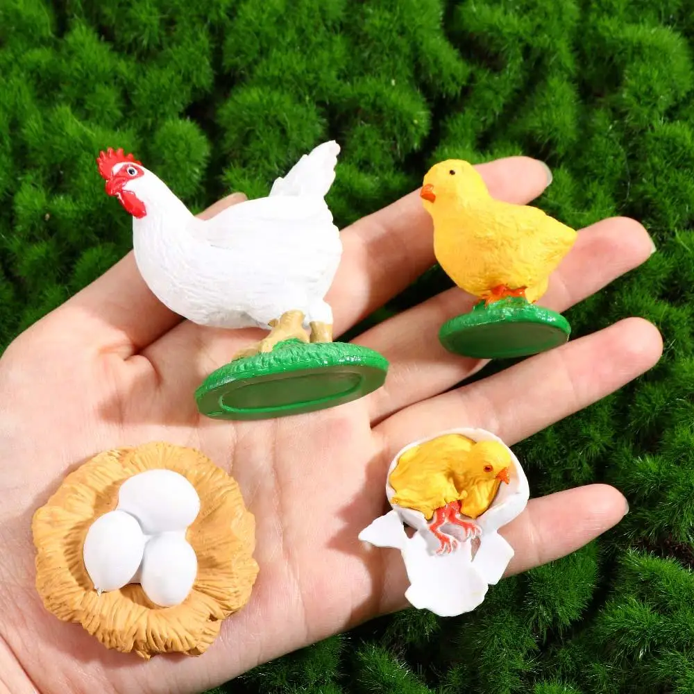 Teaching Material Chicken Insect Animals Spider Life Cycle Figurine Action Figures Simulation Animals Growth Cycle Model