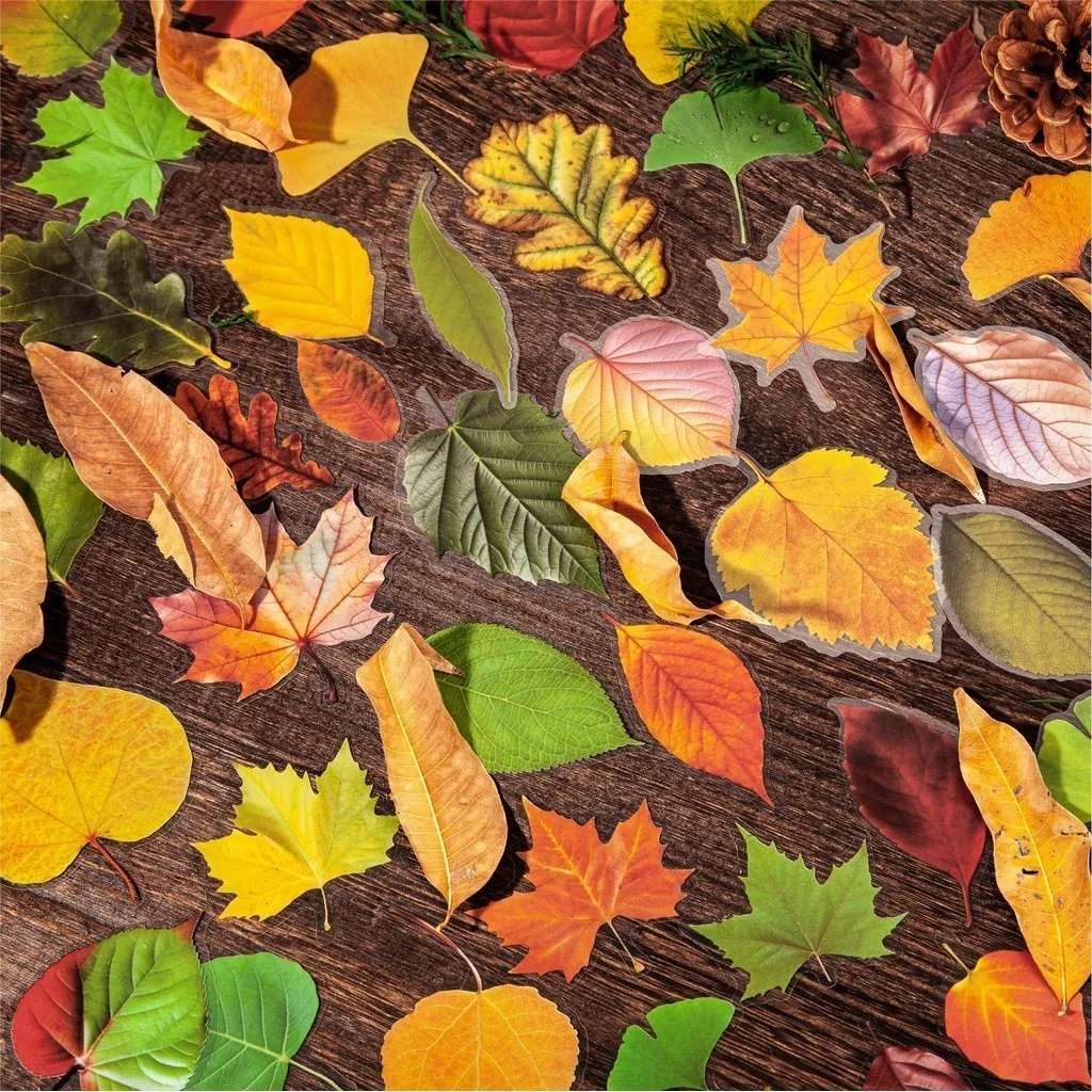 20 PCS Vintage Fall Leaf Stickers Leaves Stickers Autumn PET Transparent Decorative Plant Series maple leaf Decals for Scrapbook