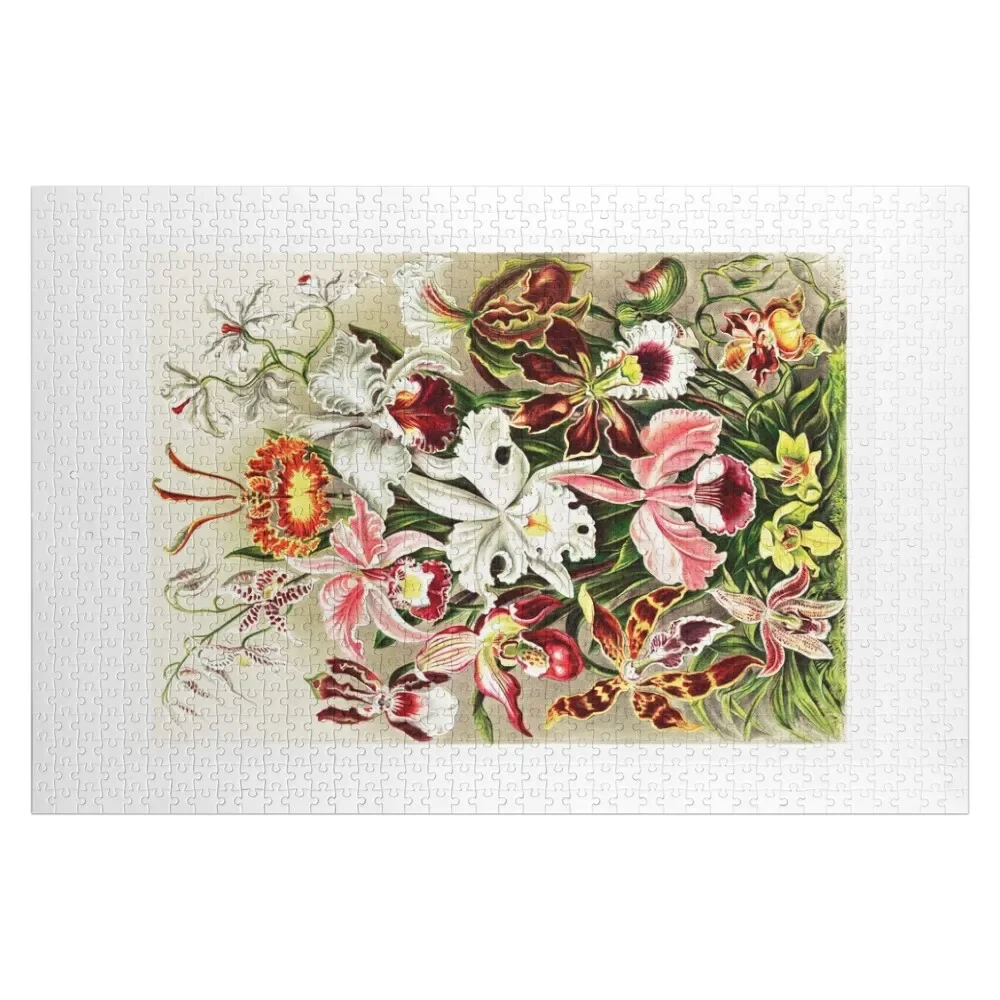 

Vintage Orchids Print Ernst Haeckel Jigsaw Puzzle Customized Toys For Kids Custom Child Gift Puzzle