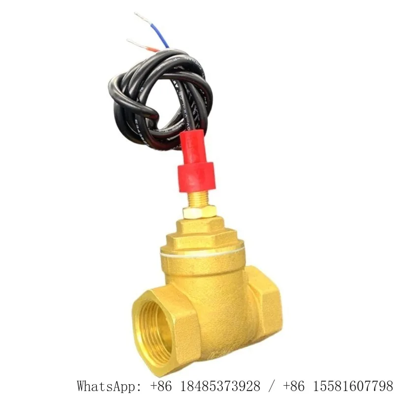 All-copper switch volume 6 minutes DN20 baffle type normally open water flow sensor switch