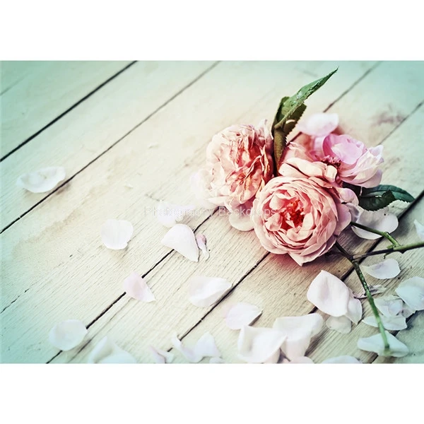 ZHISUXI 맞춤형 비닐 사진 배경, 크리스마스 날 테마 사진 배경 DST-1102