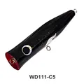 WD111-C5