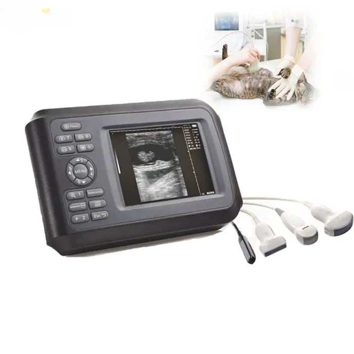 SUN-808F Handheld vet ultrasonic scan portable pet ultrasound scanner veterinary with convex/rectal probe