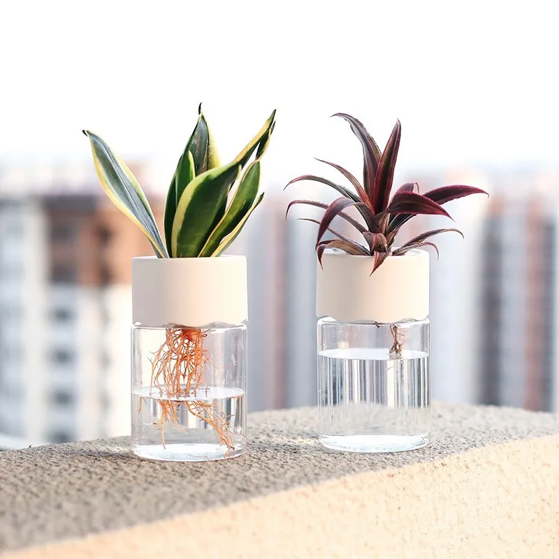 Mini Hydroponic Flower Pot Home Vase Decor Transparent Imitation Glass Soilless Plant Pots Green Plants Pot For Home Decoration