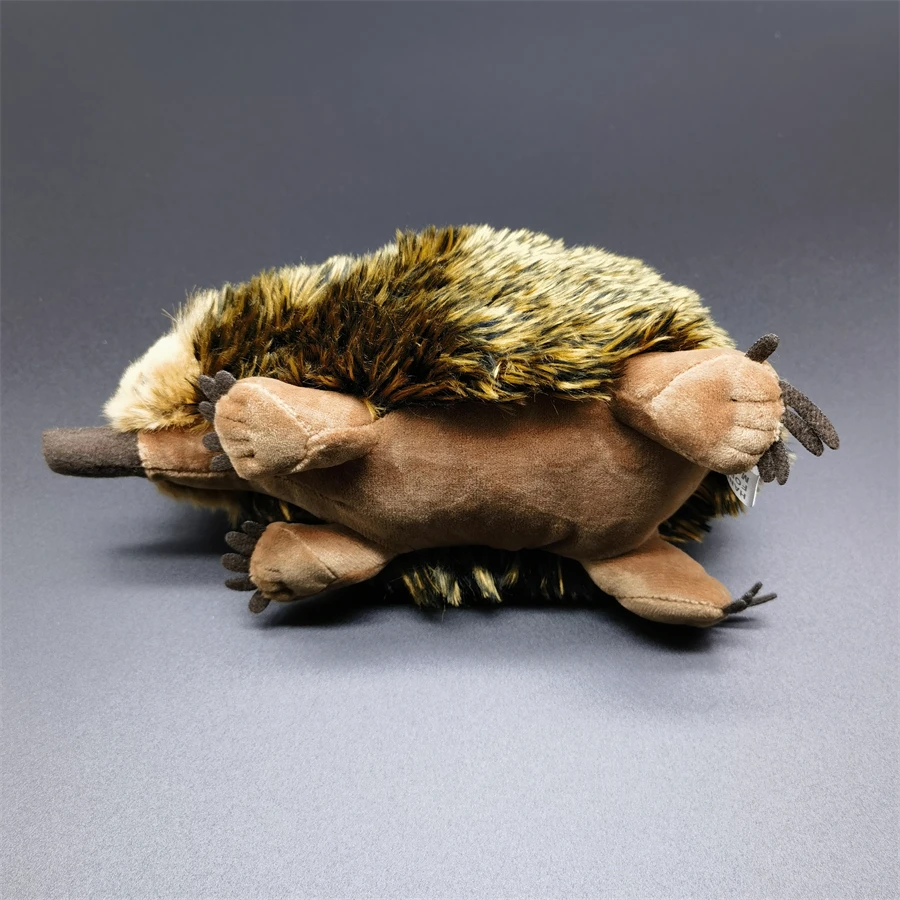 Realistisches Echidna-Plüschtier, Maulwurf-Plüschtier, lebensechter stacheliger Ameisenbär, Stofftier, Echidna-Simulationspuppe, Geschenk
