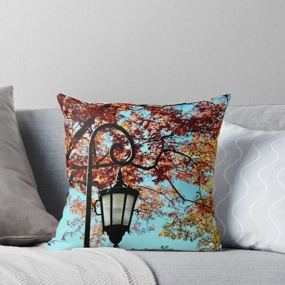 

Wellesley Lamppost in Autumn Throw Pillow covers for pillows Anime christmas cushions covers Cushions For Children pillow