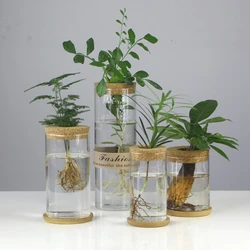 Mini Hydroponic Flower Pot Glass Plant Vase Transparent Terrarium Glass Tabletop Plants Pots Vintage Living Room Home Decoration