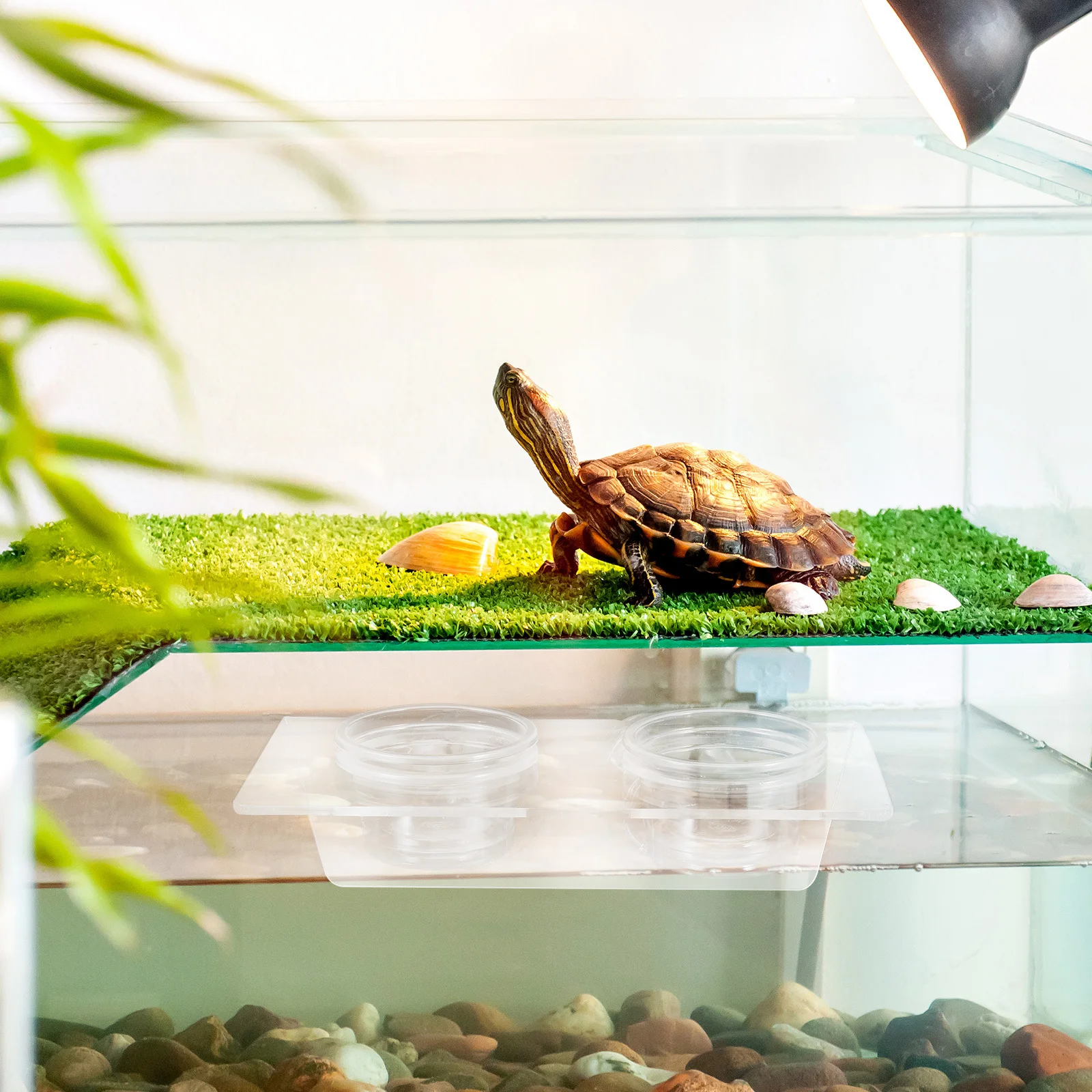 طبق تغذية الزواحف سهل التنظيف، قاعدة غير قابلة للانزلاق، تصميم متين، مثالي للسحالي، الثعابين، أبو بريص، الحرباء، الحيوانات الأليفة الصغيرة