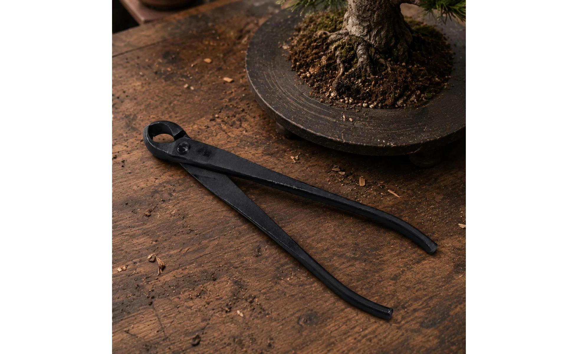 Bonsai Knob Cutter Round Cutting Head Bonsai Concave Cutter Circular Jaw Black Metal