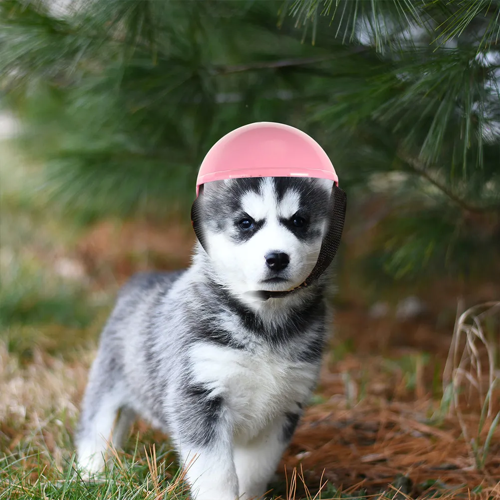 Plastic Pet Compact Dog Safety Hat Adjustable Strap Decorative Dog Spoof Protective Headgear for Dogs Cats