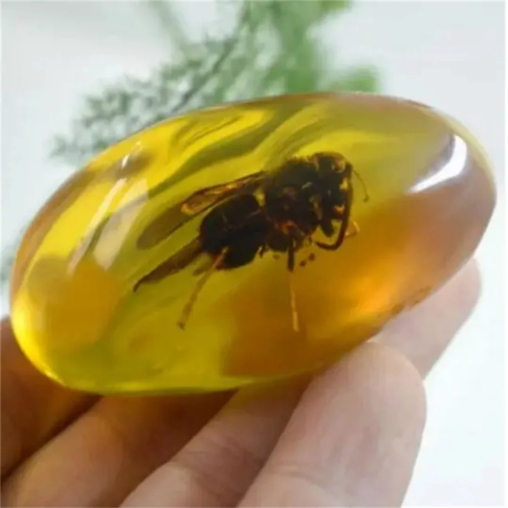 Bronze statues, gorgeous amber animals, bees, fossils, insects, hand polished, exquisite specimens