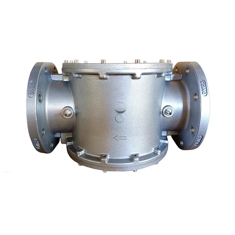 WFM150/F 5-inch flanged gas and air filter with functions such as Madaz and Dungs for gas filtration in boiler burner systems