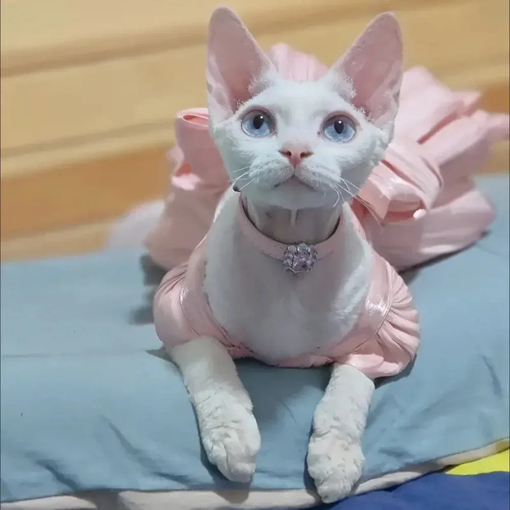 Fashion Sphynx Cat Full Dress with Bow Sweet Pet Wedding Dresses Clothes for Cats Gotas Kitten Skirt mascotas Costume vestidos