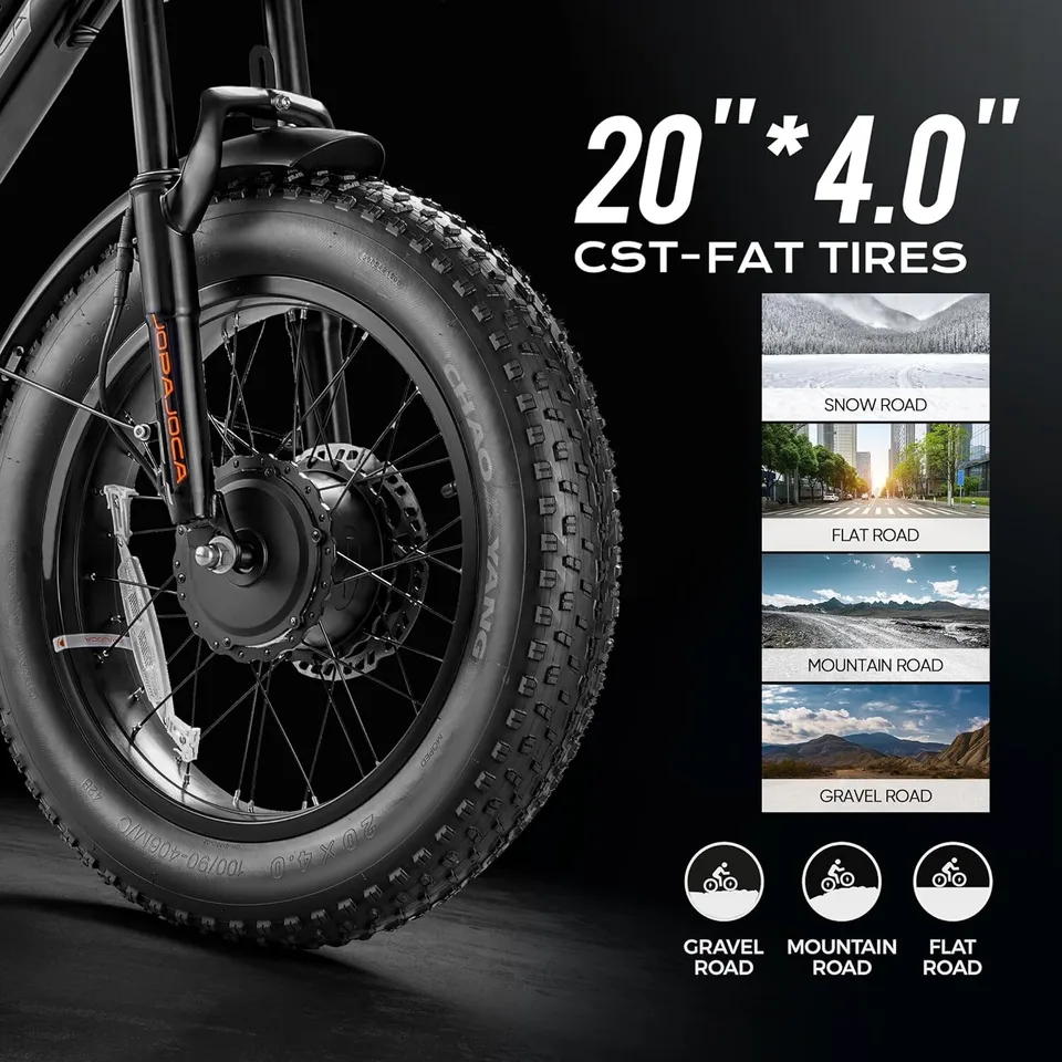 LunaⅡ Ebike for Adults，Dual Motor Peak 1500W 48V 20Ah 20"*4.0 Fat Tire image 5