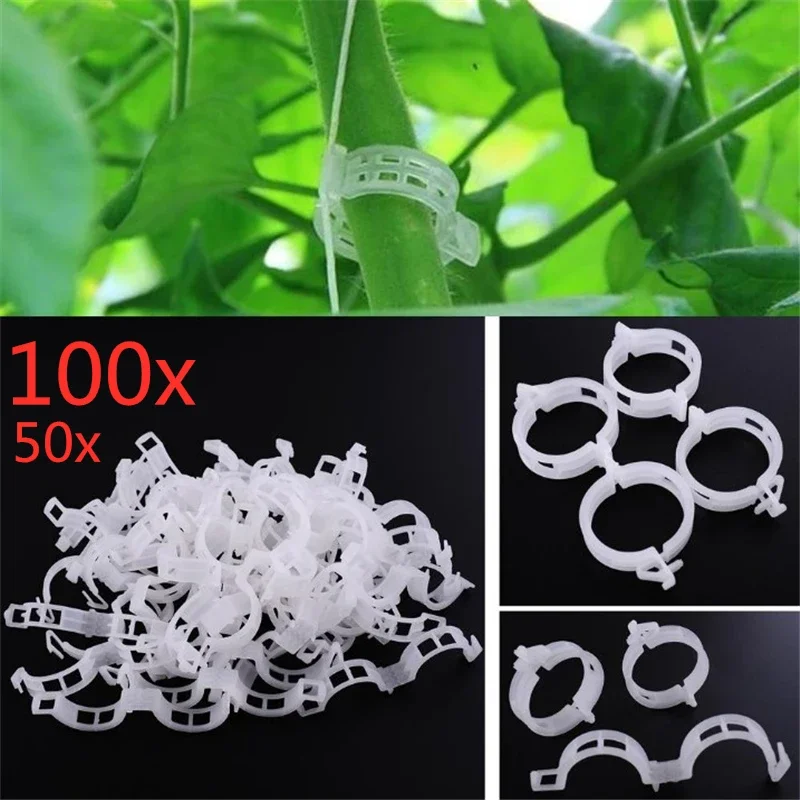 

50/100pcs Plant Clips Reusable Plant Support Clips Clamps Plants Hanging Vine Vegetables Vine Fixing Clips Bundled Branch Clips