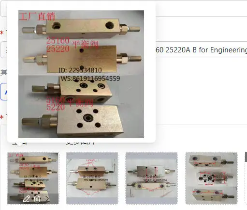 

Hydraulic Two-Way Balance Valve 25160 25220A B for Engineering Crane Cylinder Lock Motor Compatible with Various Models