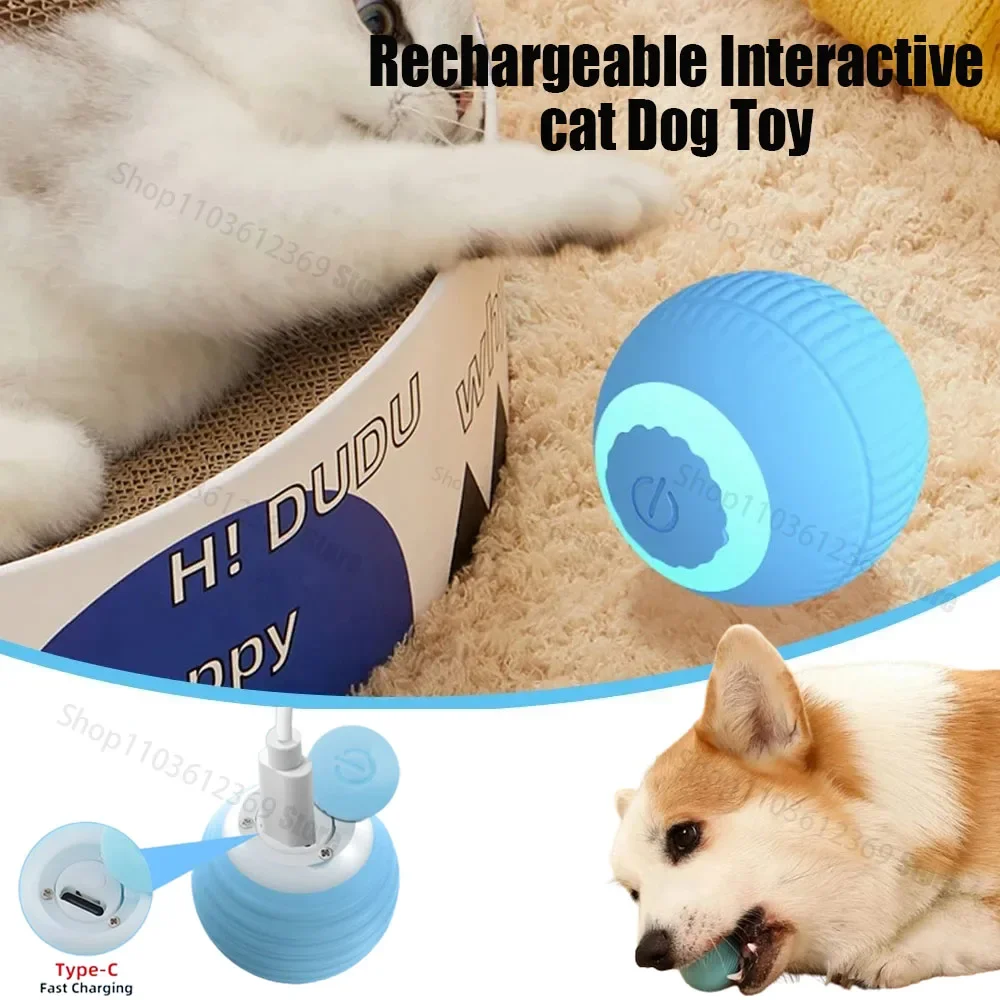 

Interactive Cat Toy Ball 360 Automatic Rotating Rolling Ball Accessories for Cats Toys With USB Charging Function Pet Things