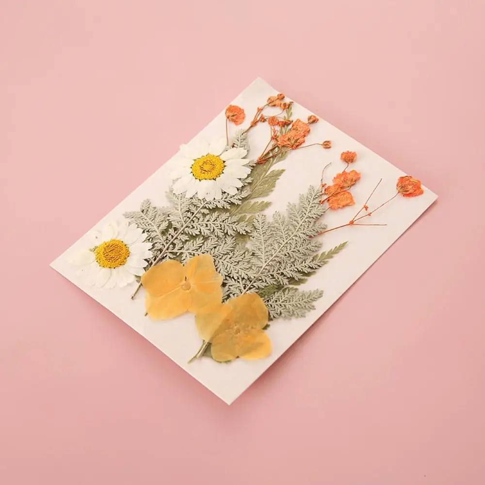 DIY Materials DIY Dried Flower Bookmarks Handmade PET Dried Flower Stickers Herbarium Transparent Flower Page Bookmark