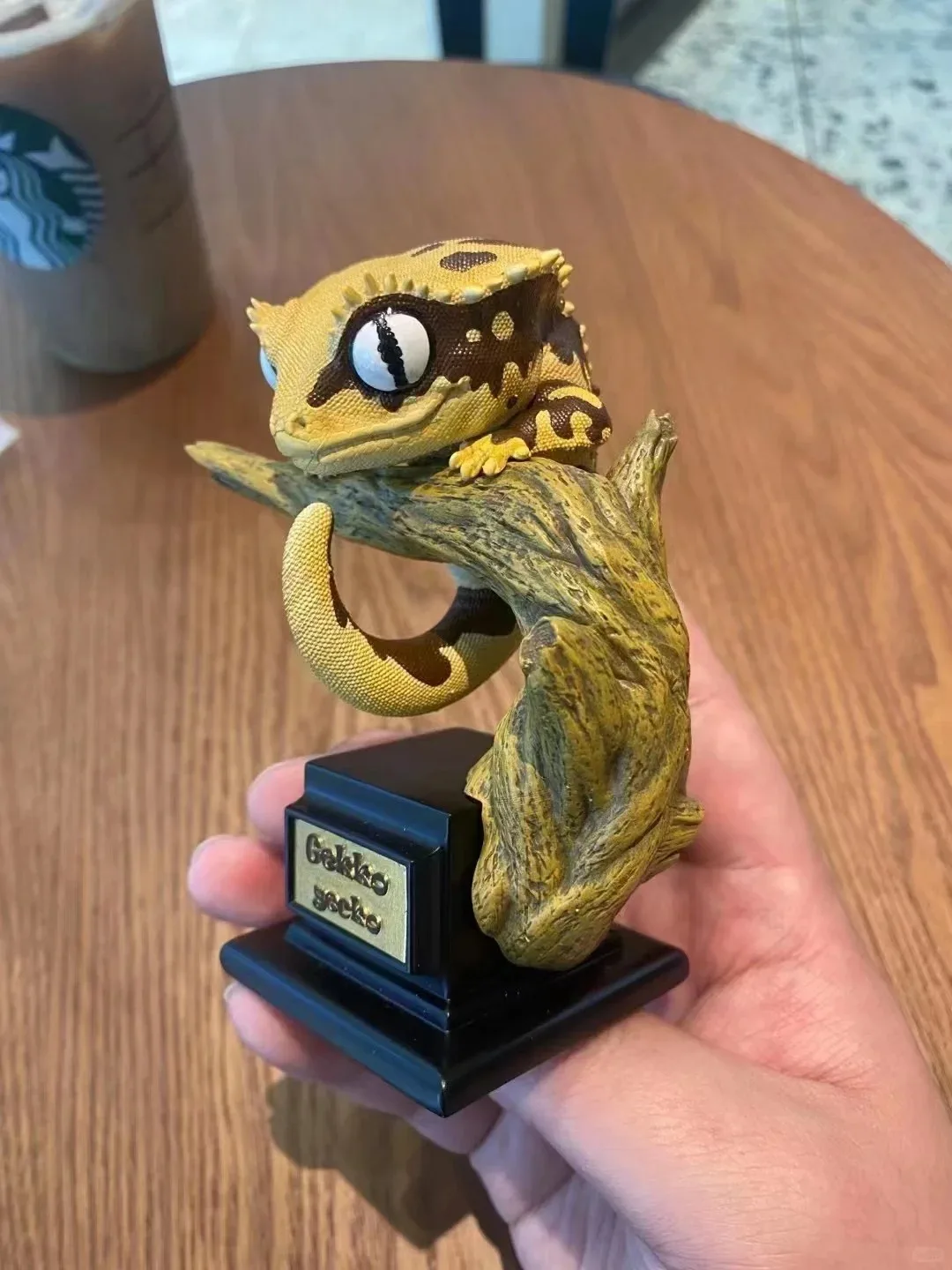 Livre d'histoire naturelle : Contes Gecko - Modèles Gecko (Figures d'animaux de reptiles) : Gecko léopard, Gecko géant, Gecko à queue de bouton