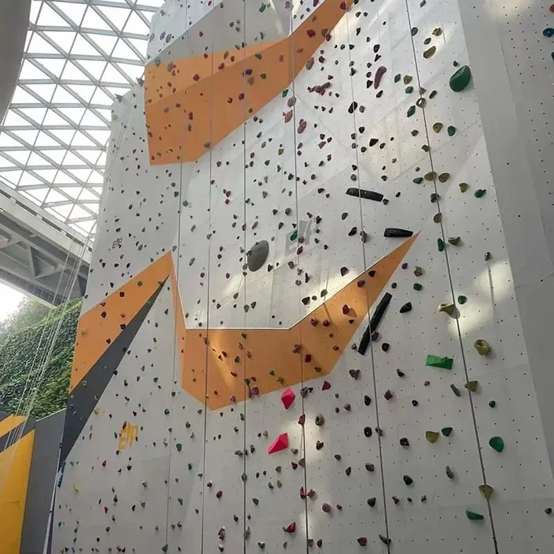 Personalized Indoor Outdoor Climbing Wall for Kids and Adults Beautifully Designed Rock Climbing Structure Home Gym Exercise